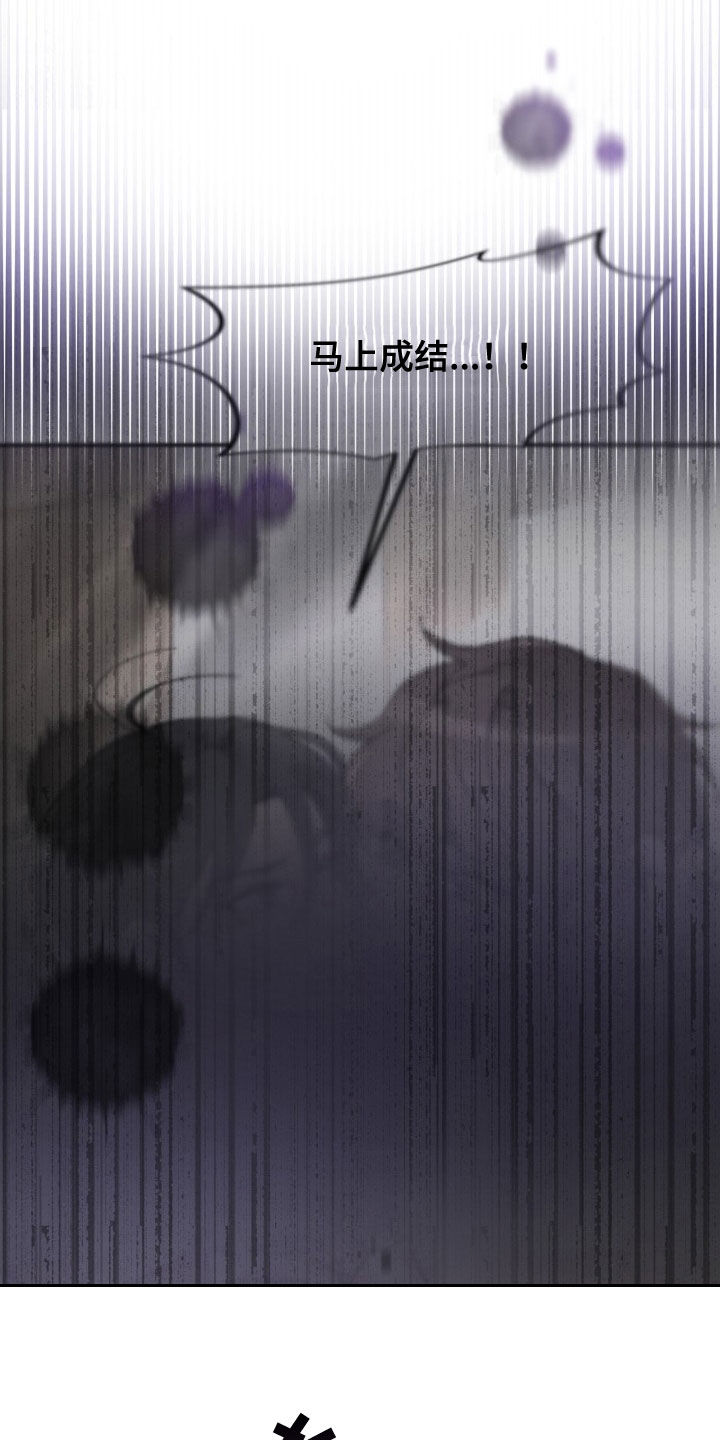 第23章：腰疼17