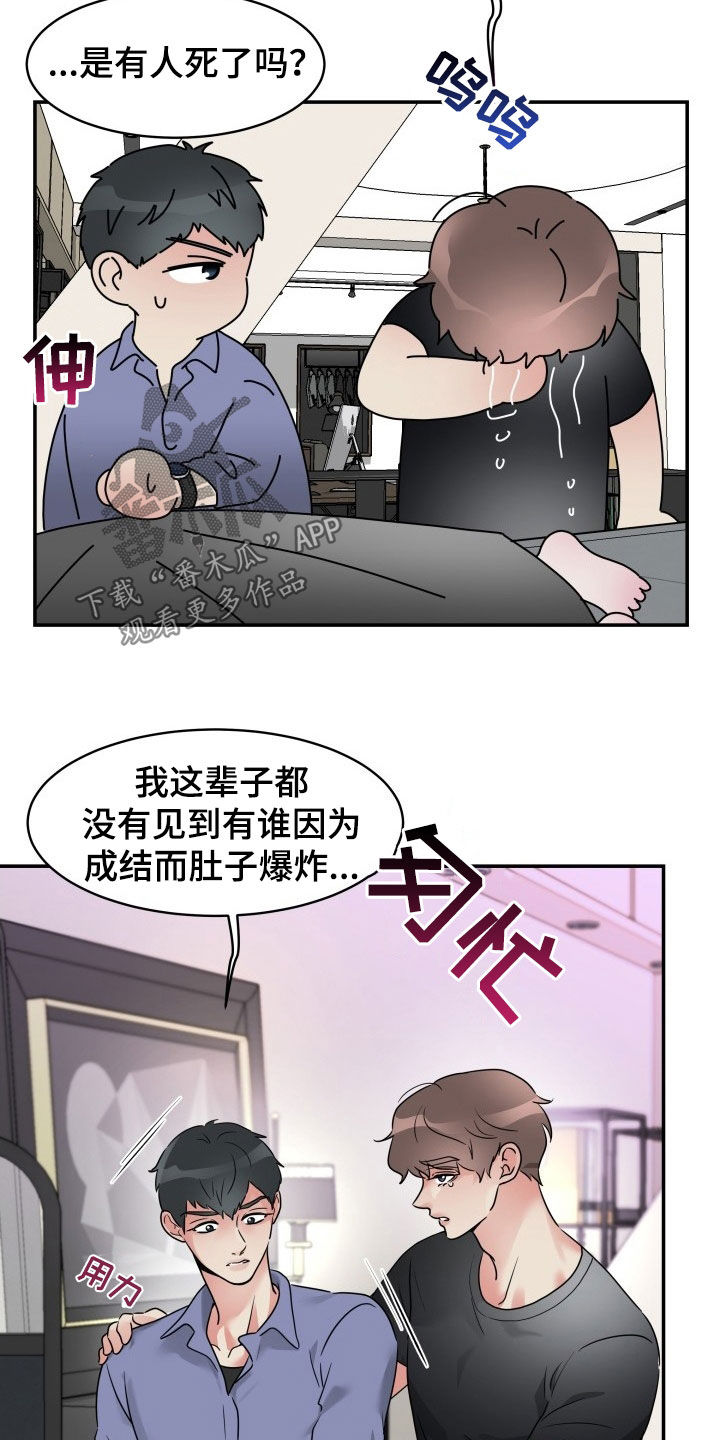 第24章：你是不是傻19