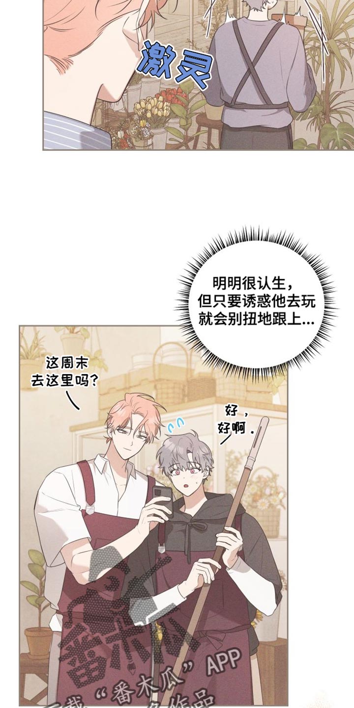 第18章：结束了11