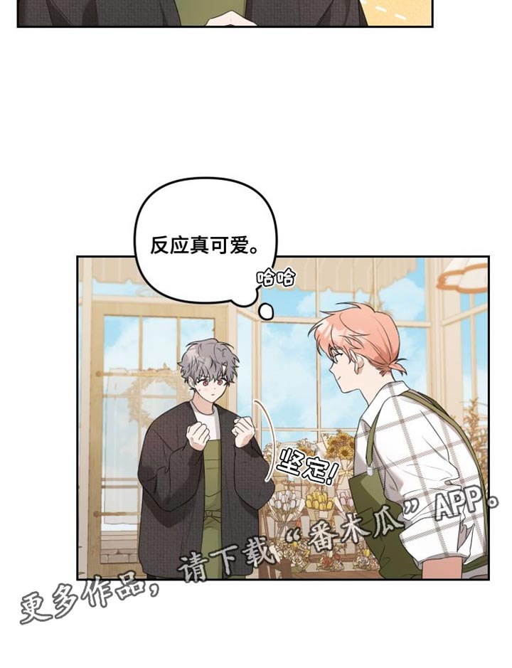 第16章：有趣的反应20