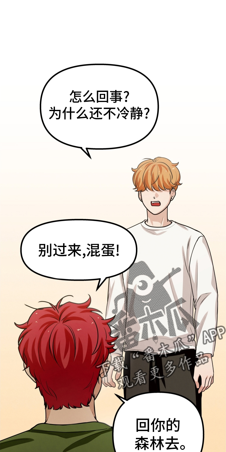 第36章：访问21