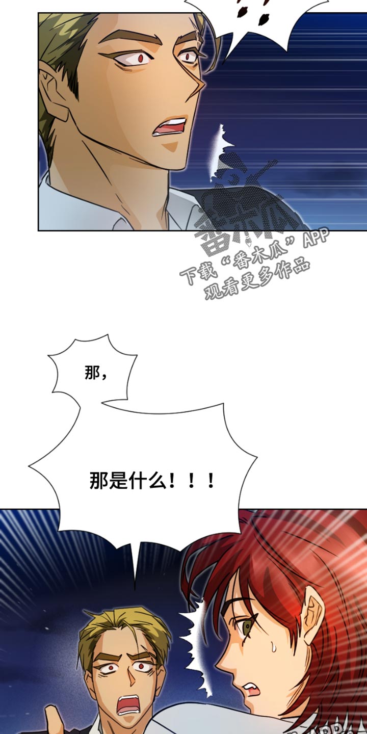 第17章：真是好名字14