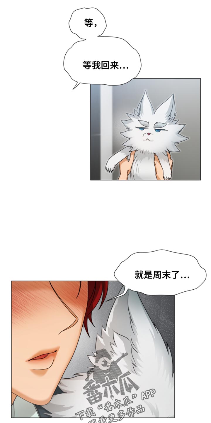 第25话3