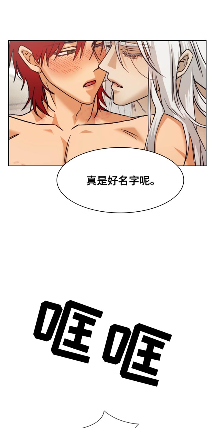 第17章：真是好名字9