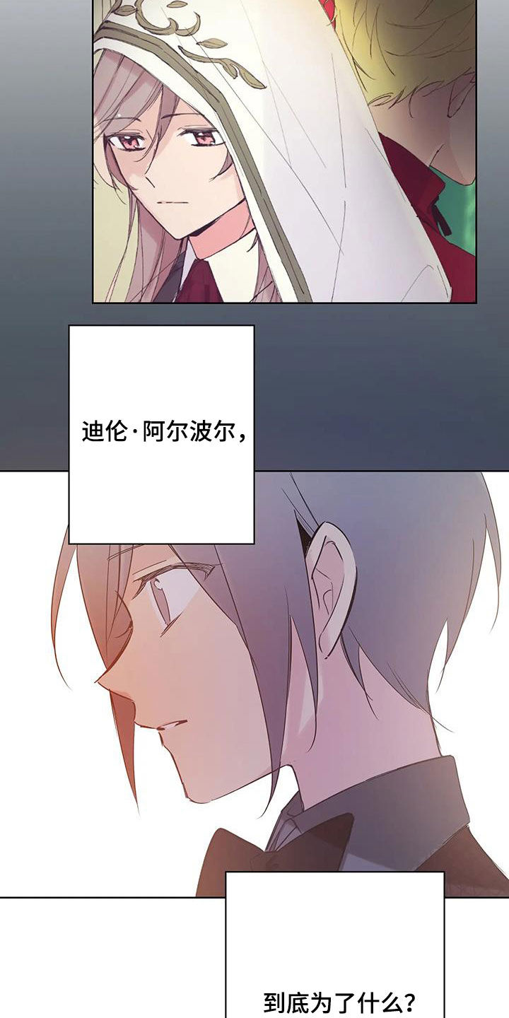 第15章：有点像16