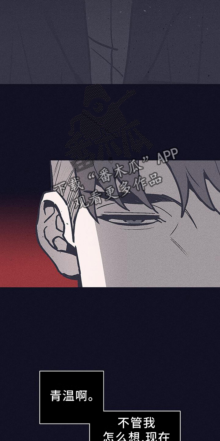 第29章：保护17