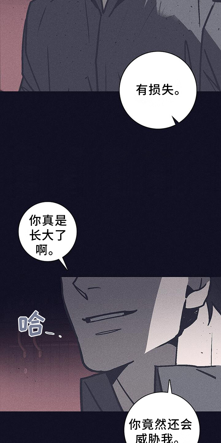 第29章：保护14