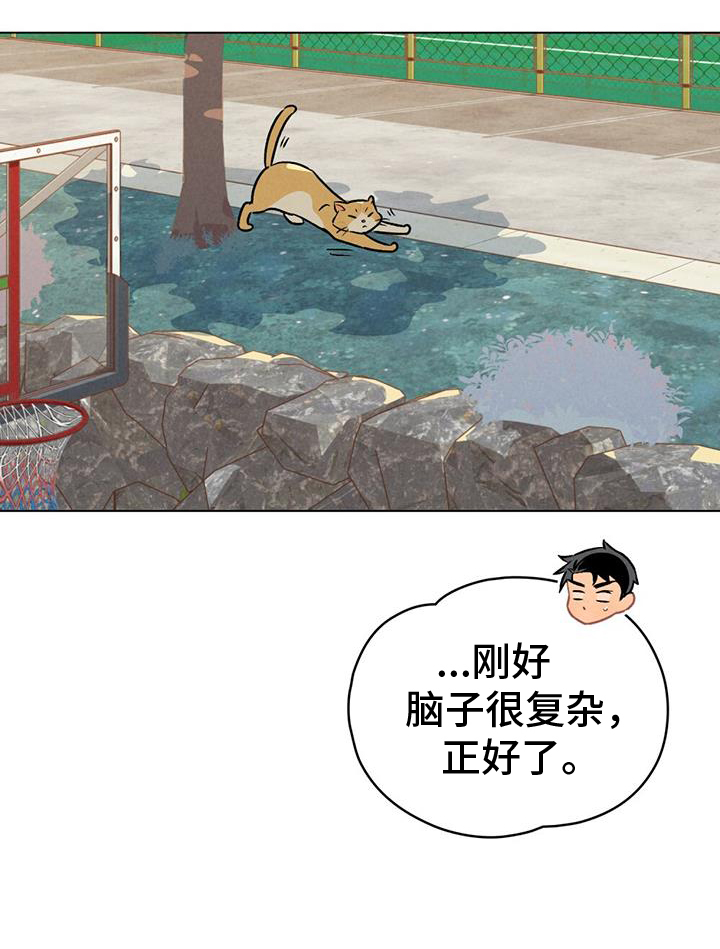 第26章：方法14