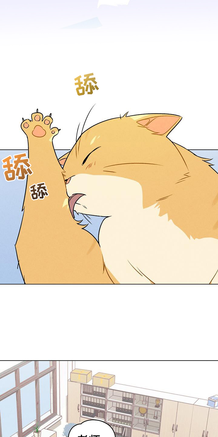 第41话16