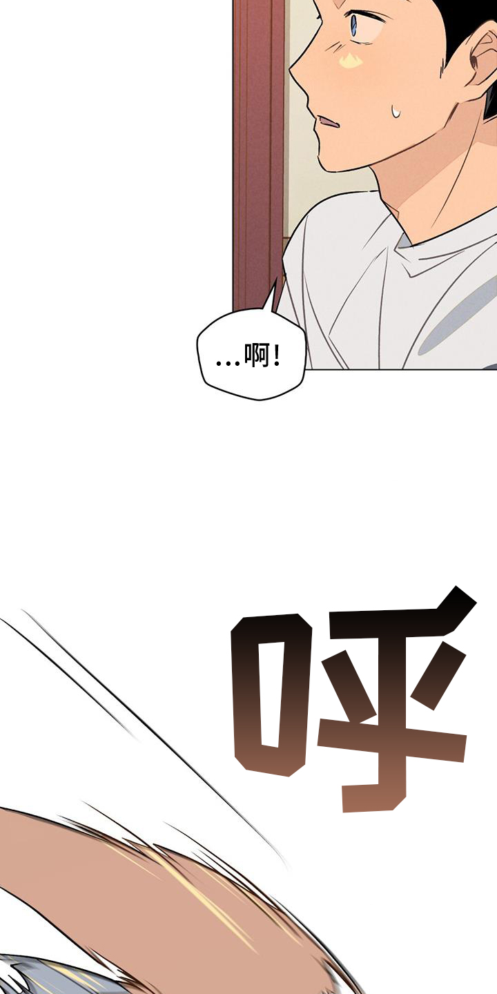 第24章：扭伤14