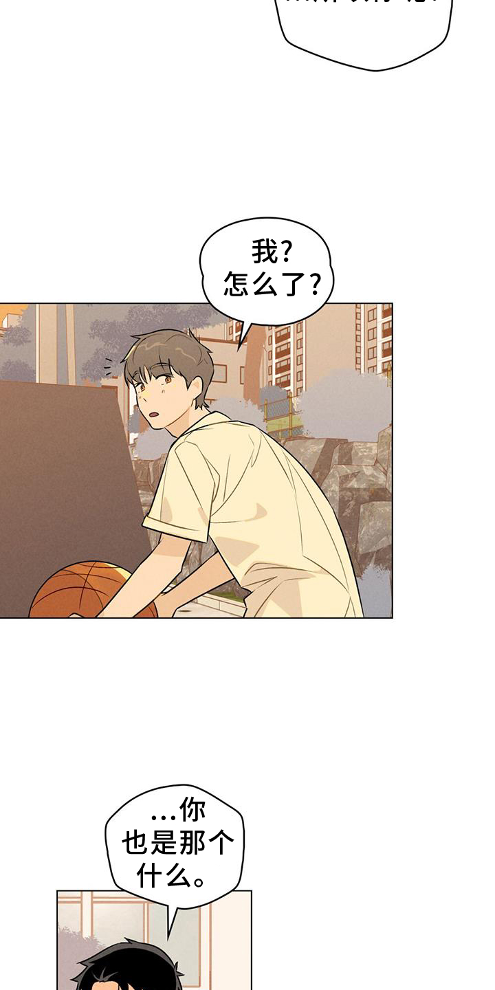 第22章：喜欢你20
