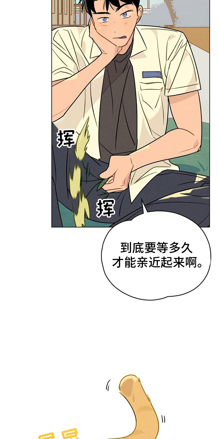 第26章：方法18
