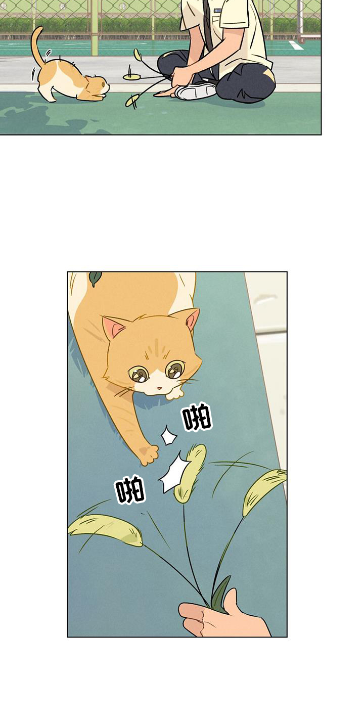 第26章：方法20