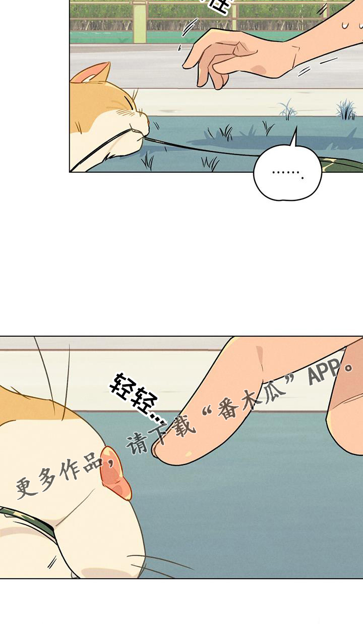 第26章：方法23
