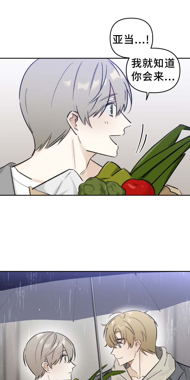 第11章：雨伞20