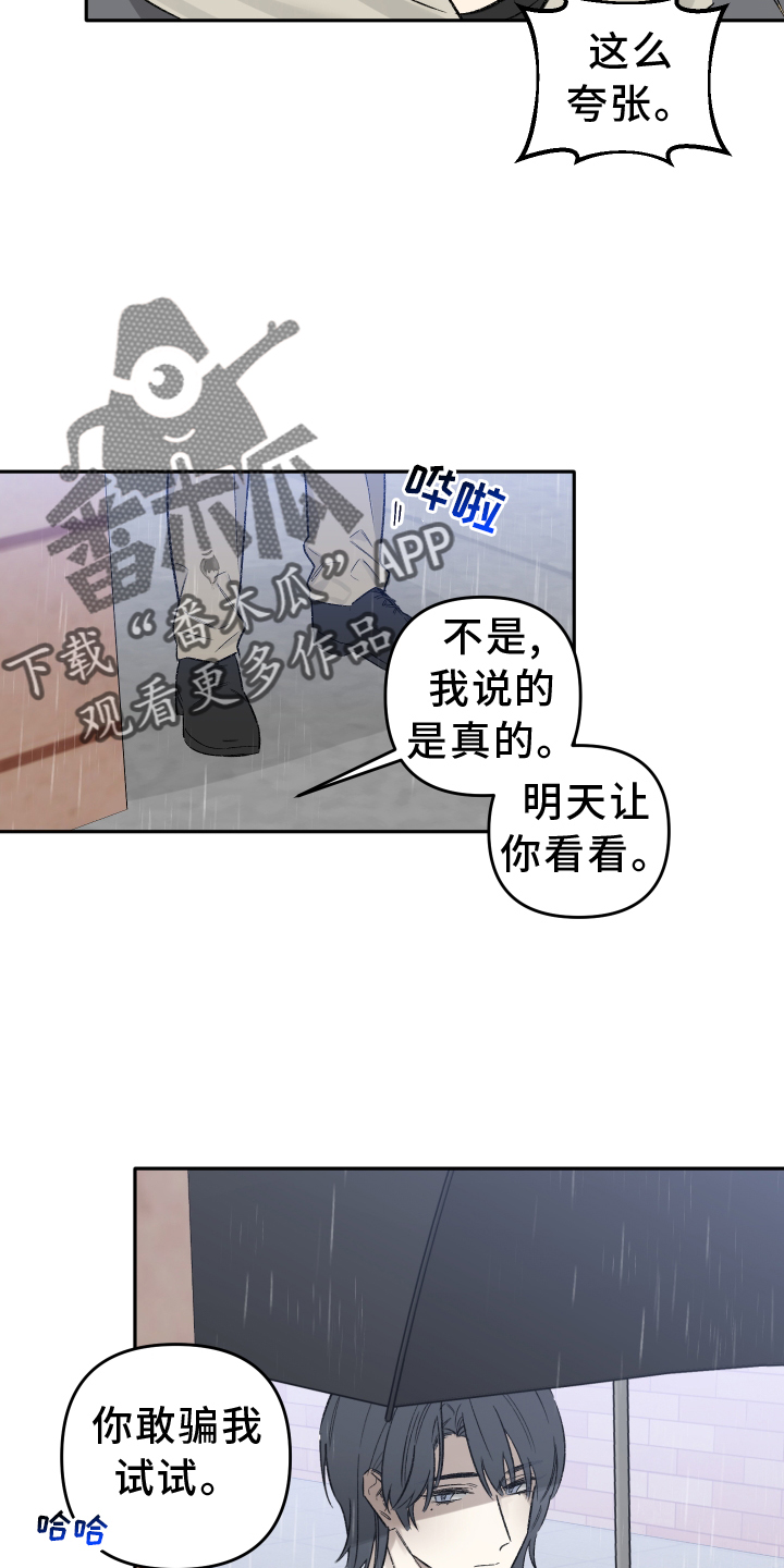 第12章：目击17