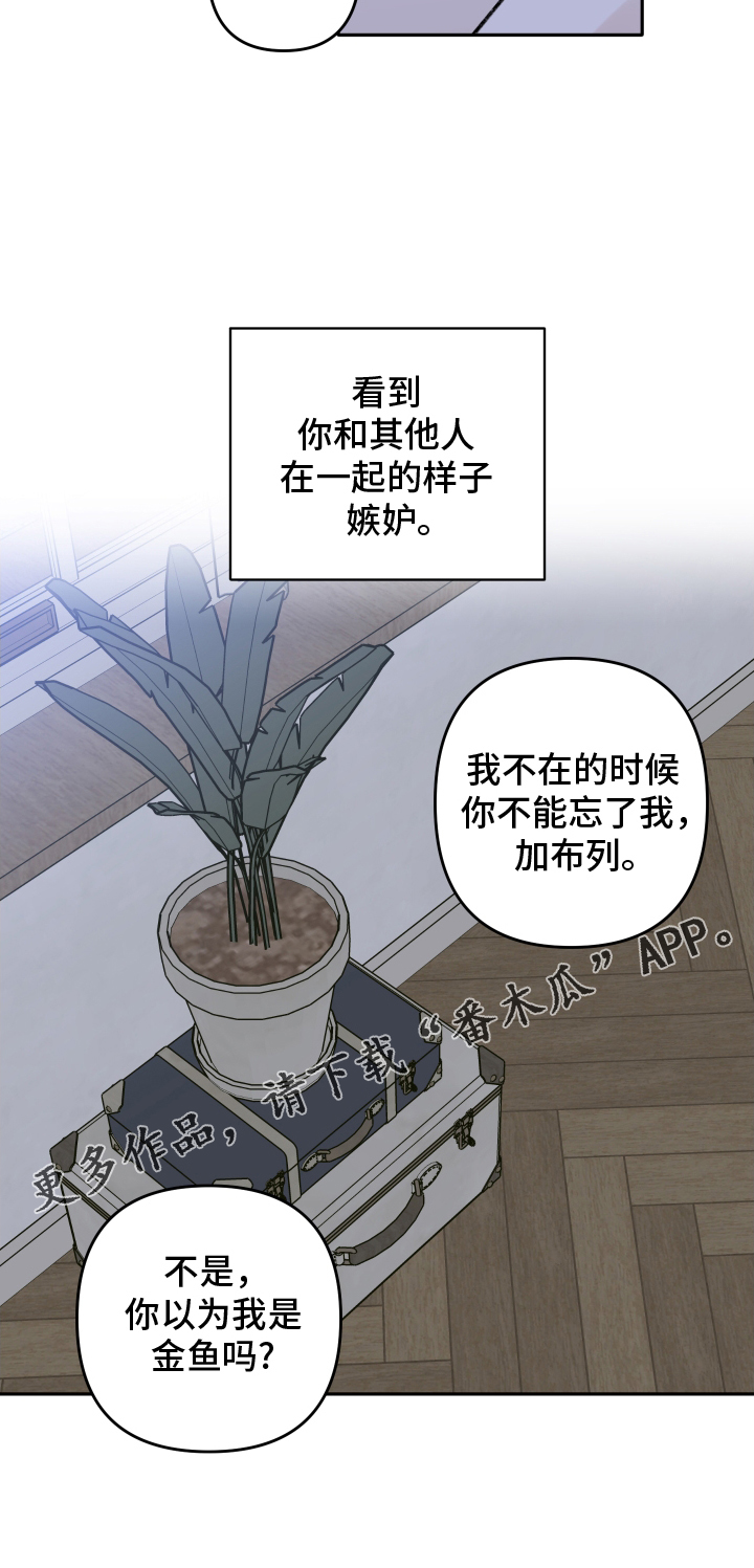 第15章：不要忘记我17