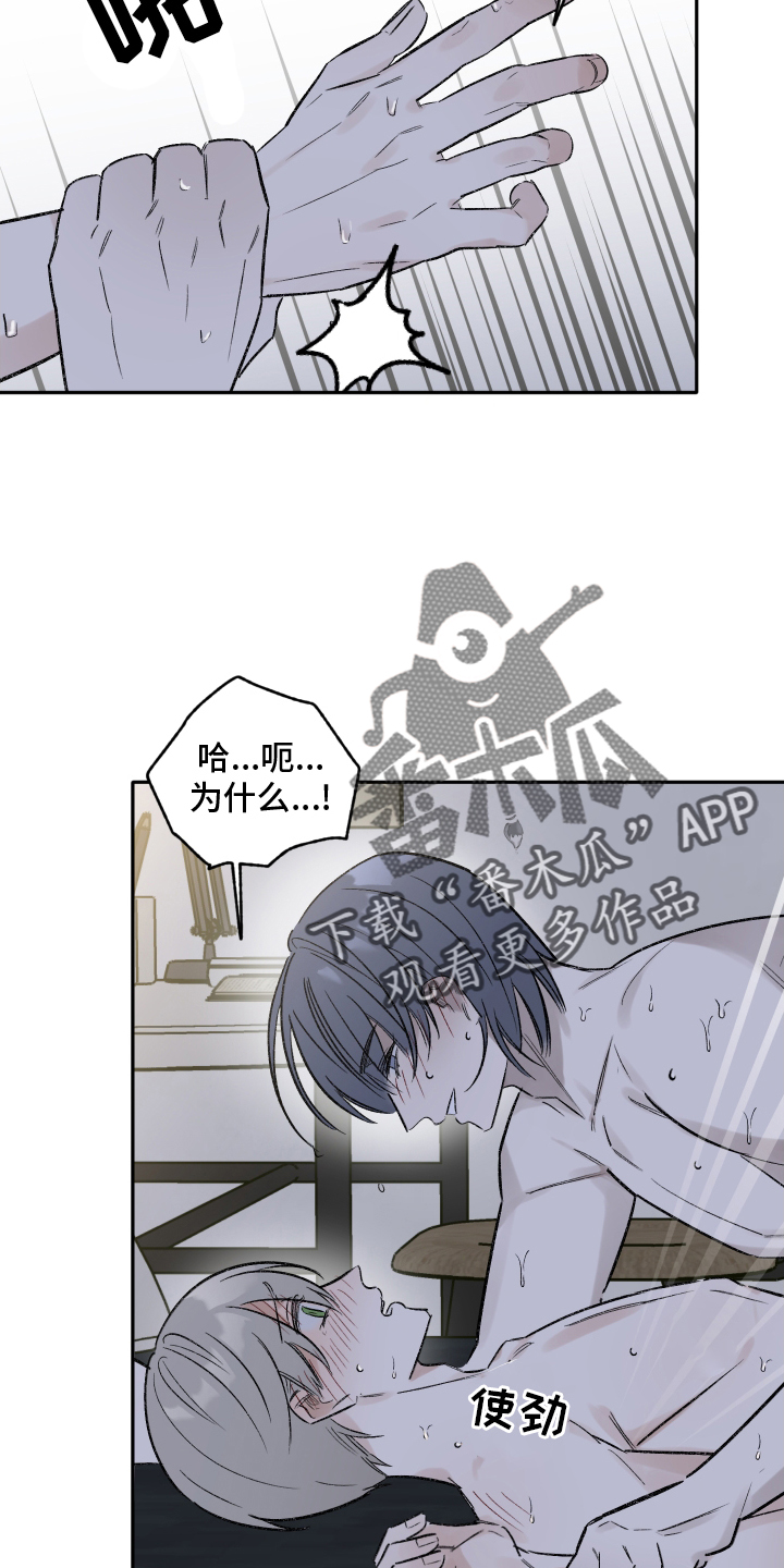 第15章：不要忘记我9
