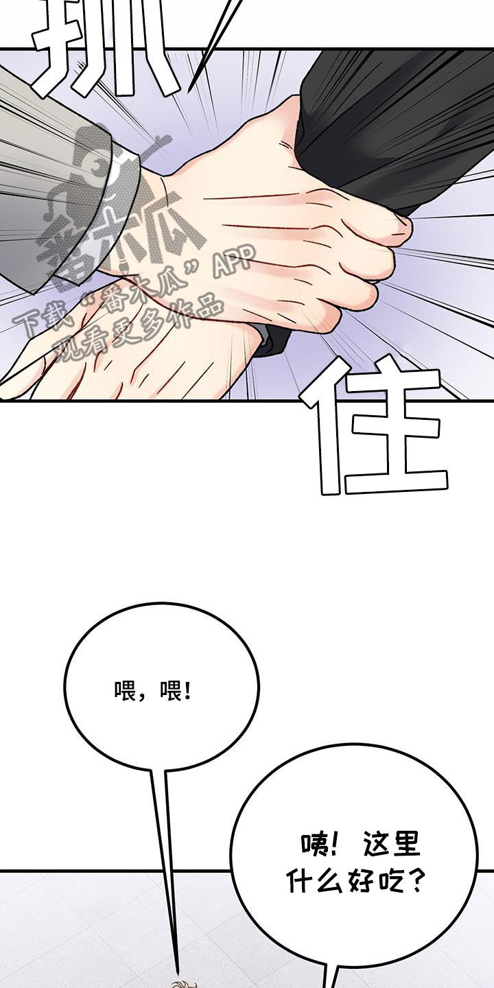 第26章：约定8