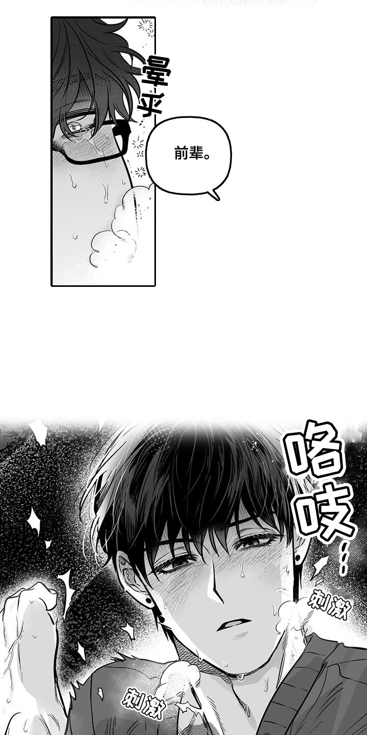 第14章：驯服12