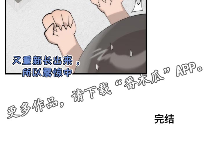 第21章：完美的生活【完结】22