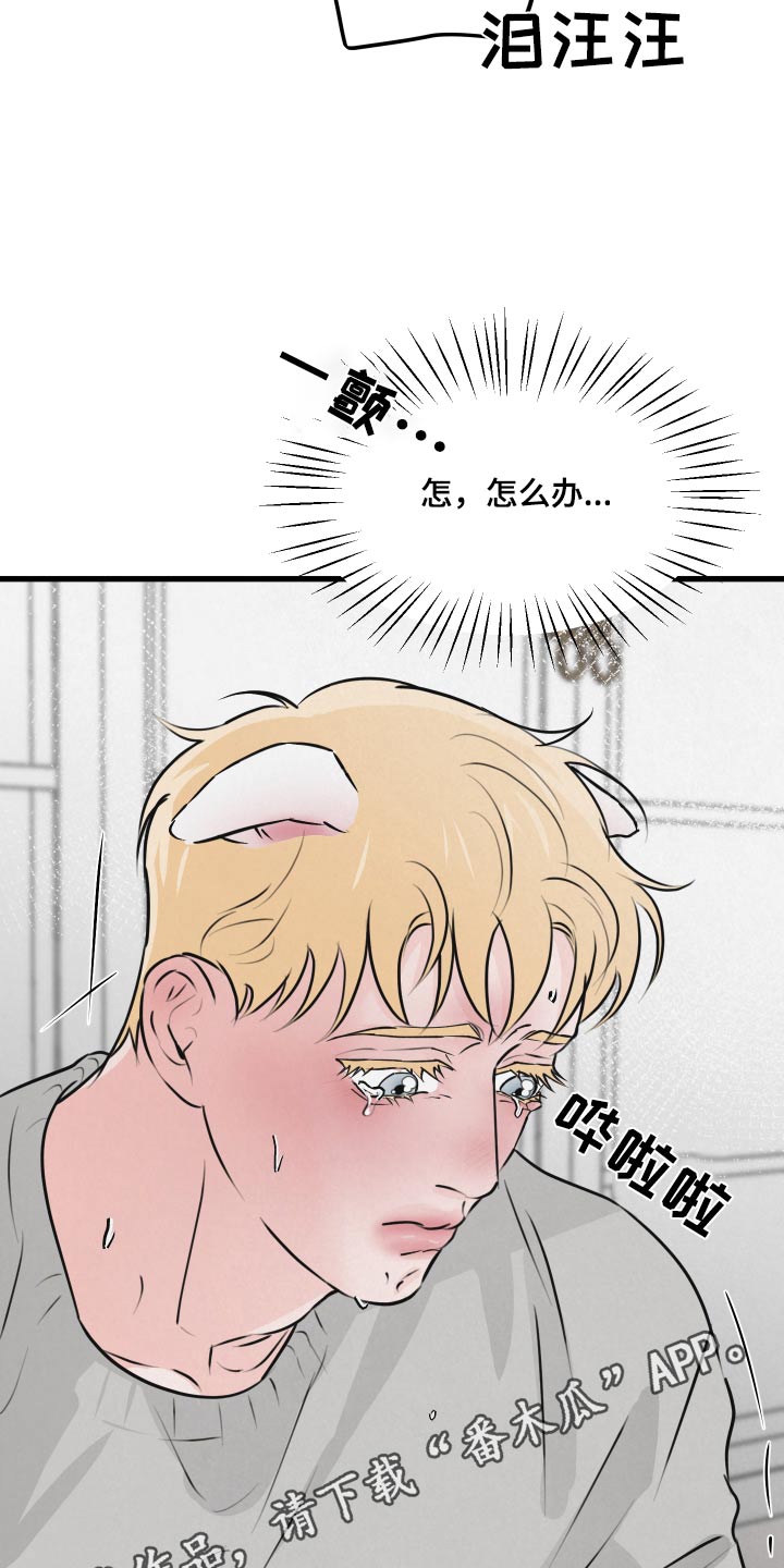 第24章：快醒醒20