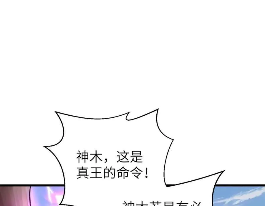 293 高品大战3