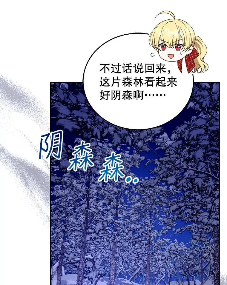 110.棕熊出没15