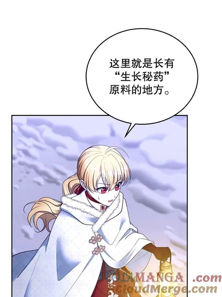 110.棕熊出没4