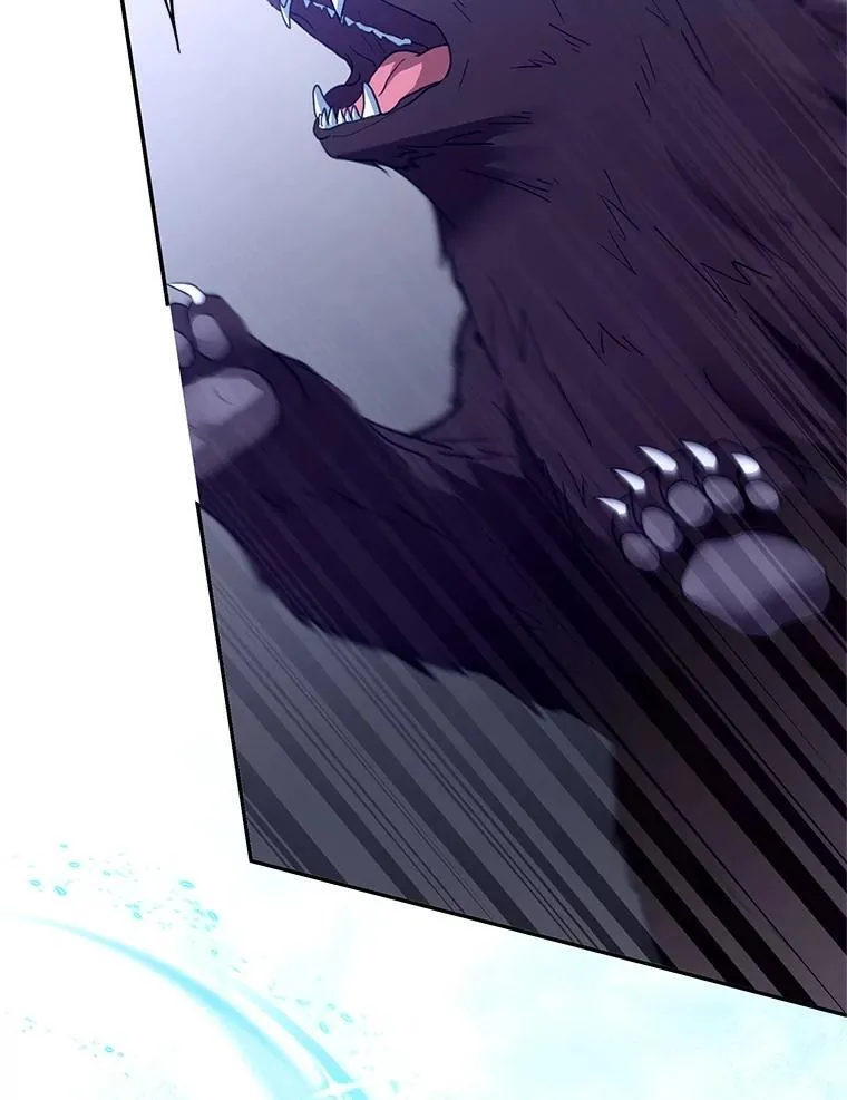110.棕熊出没41