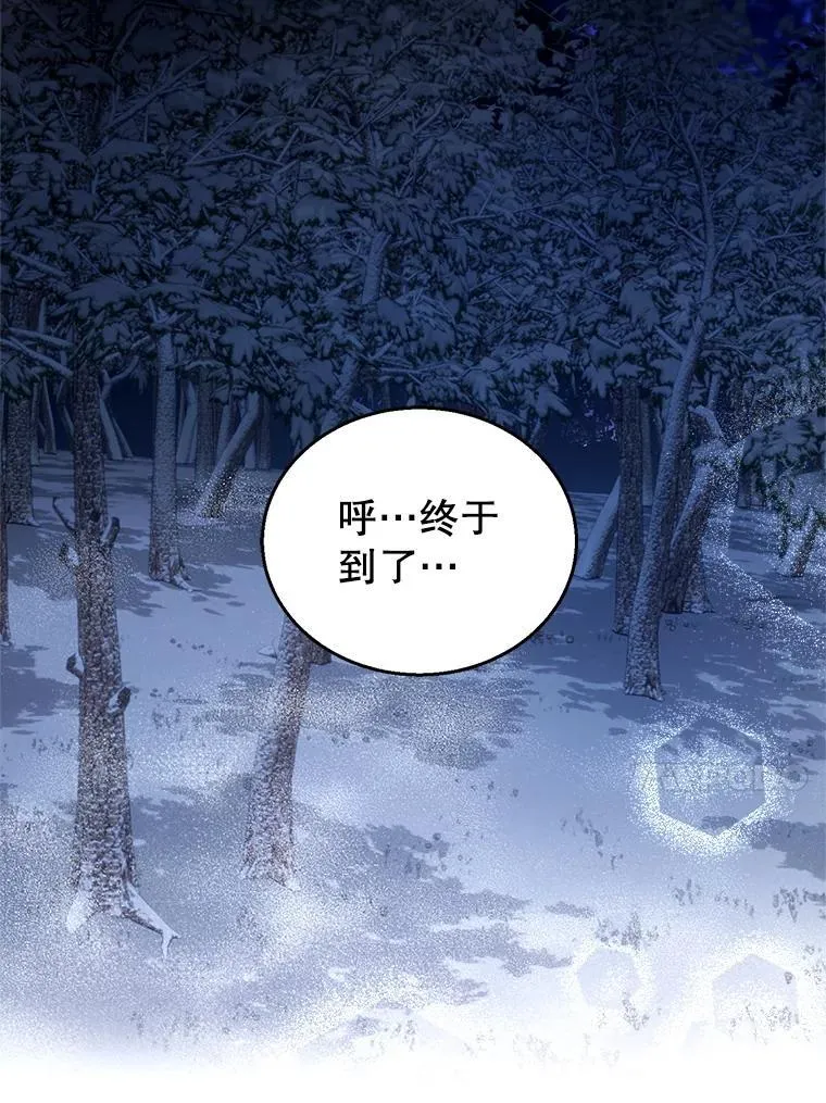 110.棕熊出没3