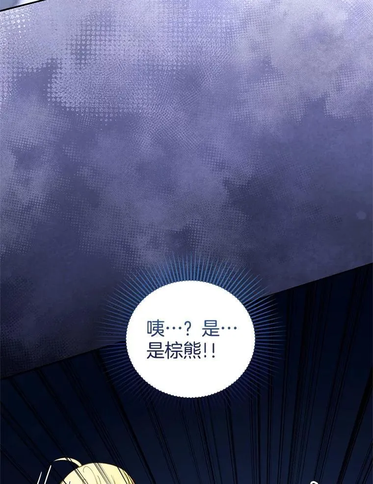 110.棕熊出没35