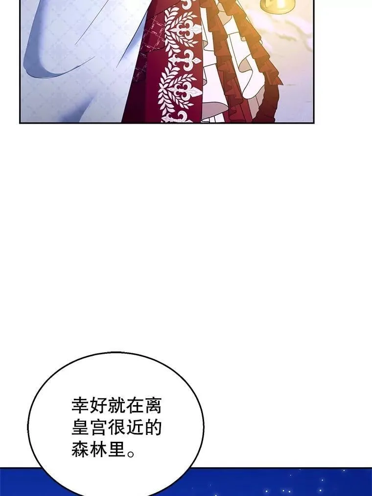 110.棕熊出没5
