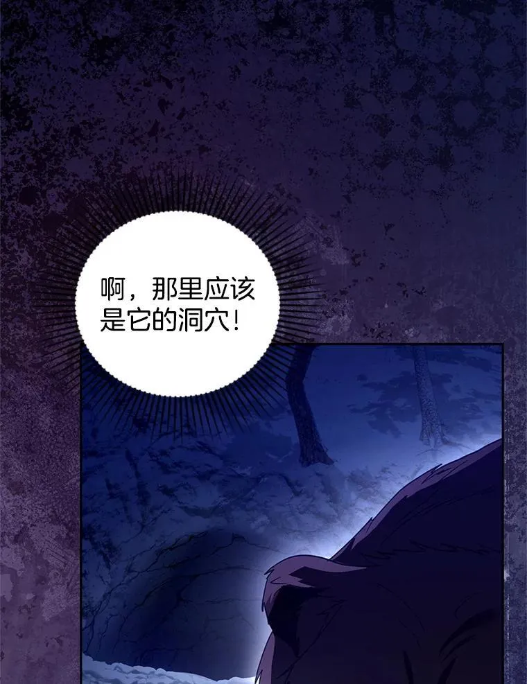 110.棕熊出没37