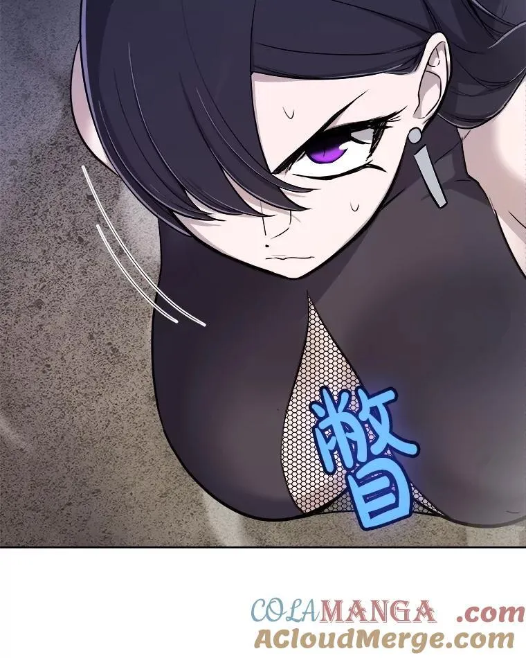 111.蜘蛛网136