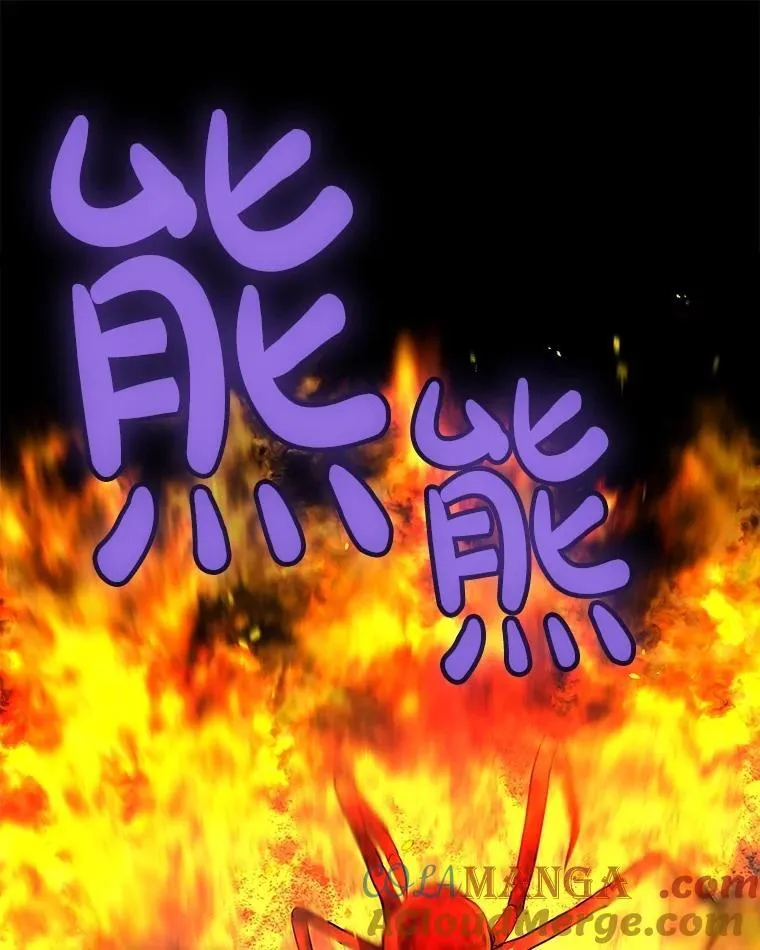 111.蜘蛛网48