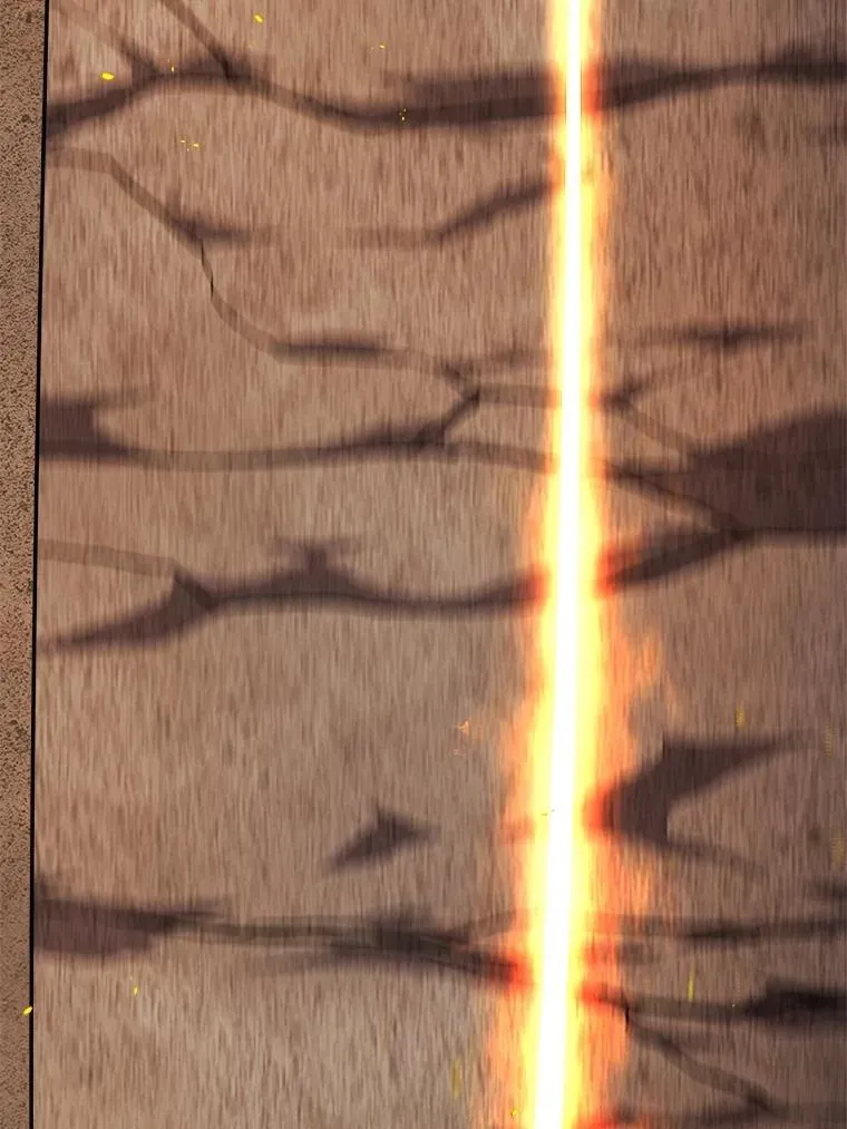 111.蜘蛛网45