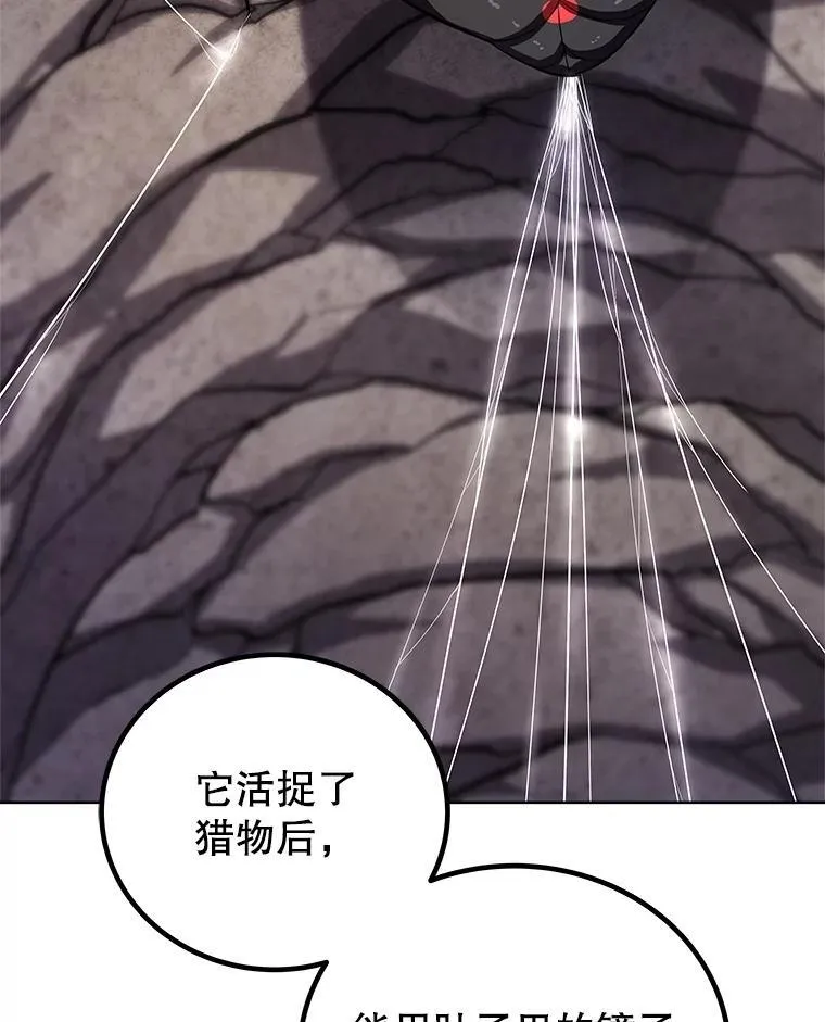 112.复制体37