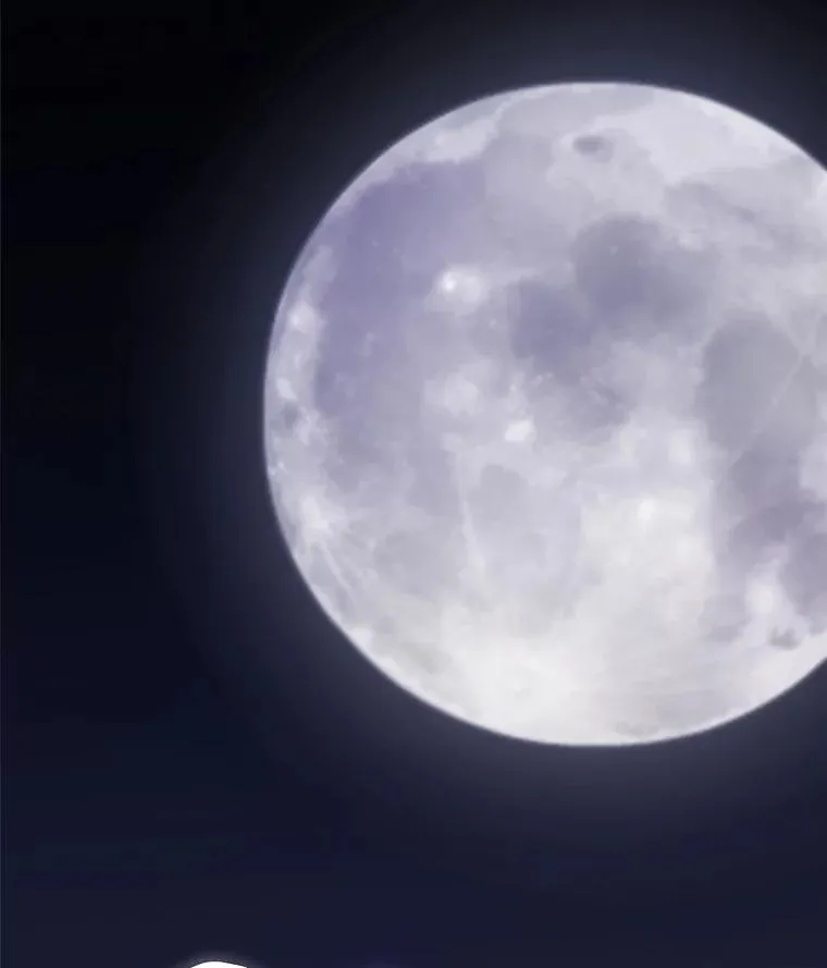 114.连环意外139