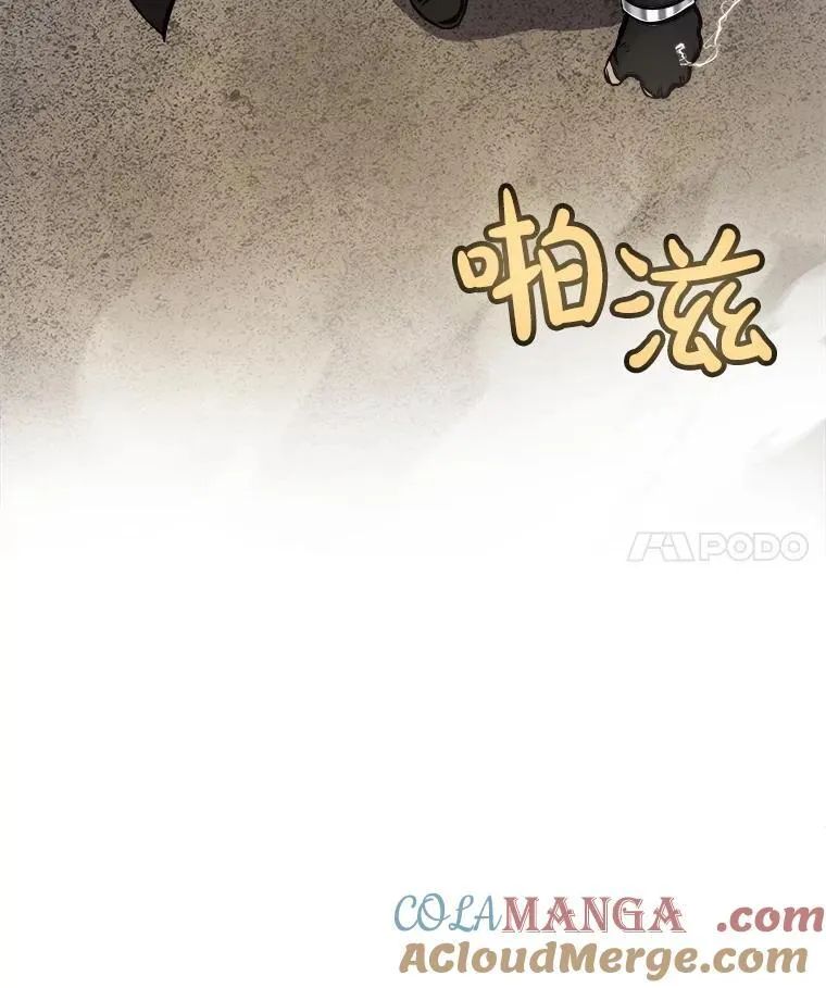 112.复制体28