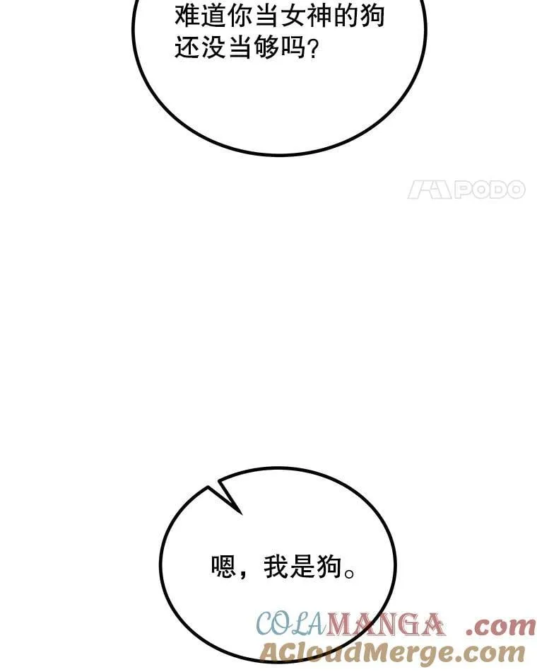 111.蜘蛛网20