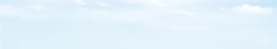 462 青龙川事变开始173