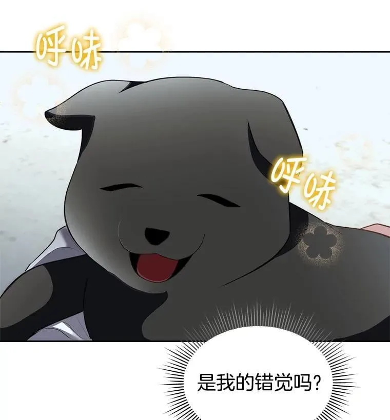 71.它能听懂人话73