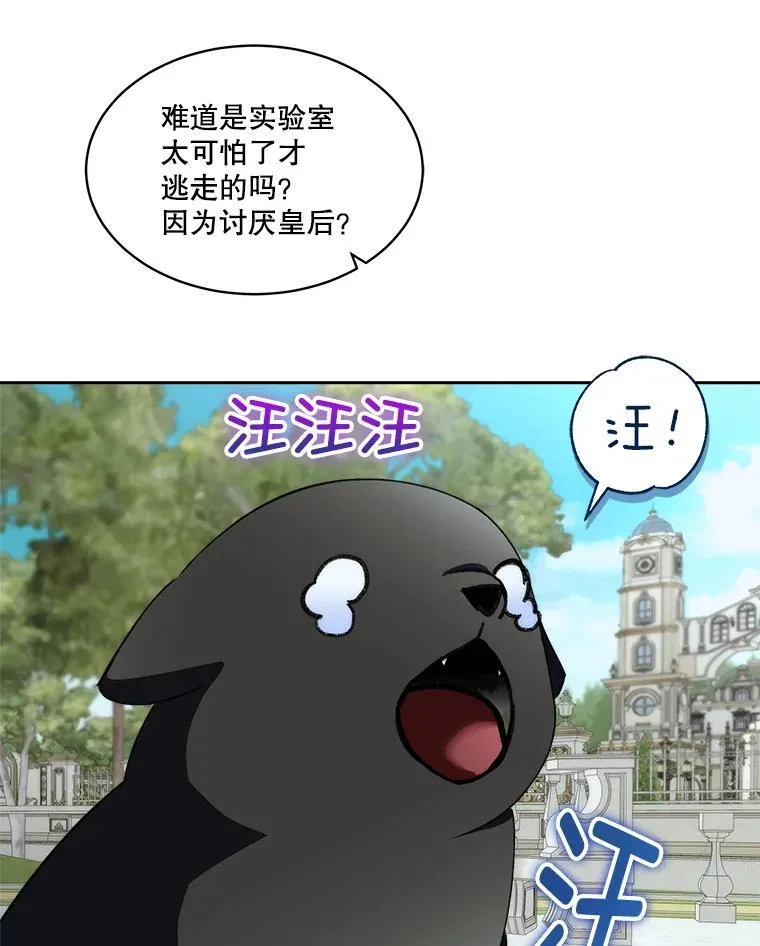 71.它能听懂人话83