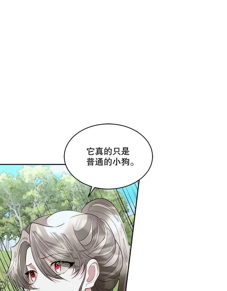 71.它能听懂人话45
