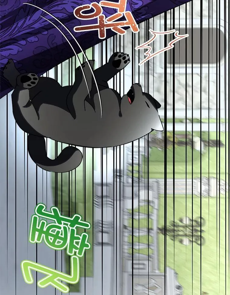 71.它能听懂人话49