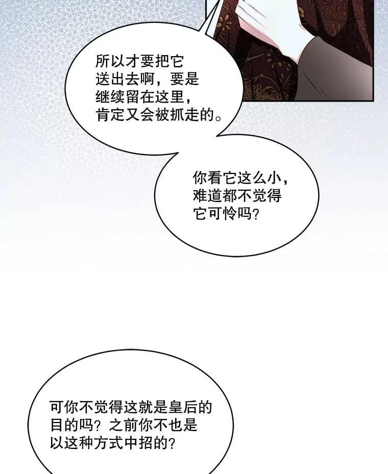 71.它能听懂人话41