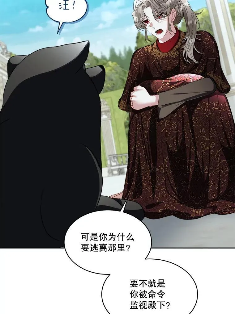 71.它能听懂人话81