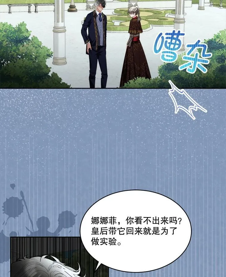 71.它能听懂人话39