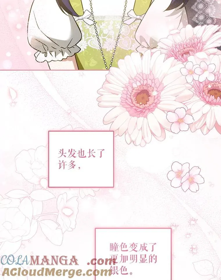 81.护卫骑士20